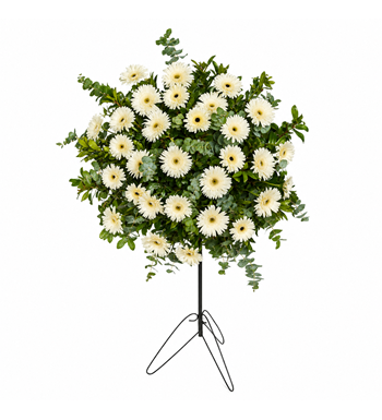 beyaz gerbera çelengi, açılış çelengi, tebrik çelengi
