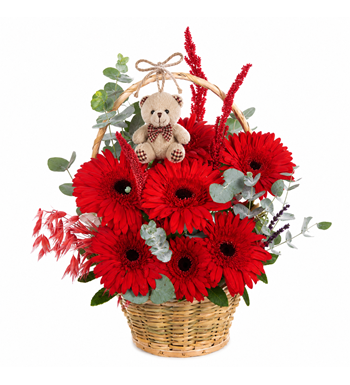 kırmızı gerbera sepeti, ayıcıklı çiçek aranjmanı