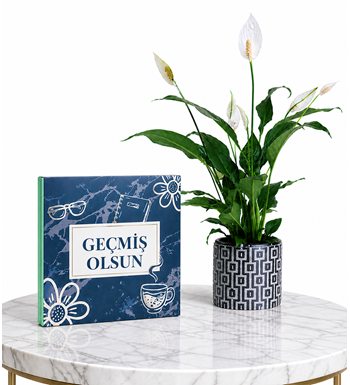 geçmiş olsun çiçek, spatifilyum, barış çiçeği, geçmiş olsun 