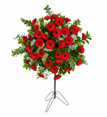 kırmızı gerbera çelengi, açılış çelengi, tebrik çelengi
