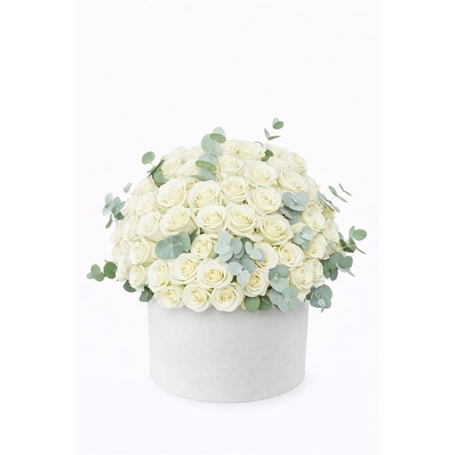 Premium Beyaz Gül Silindir Kutu