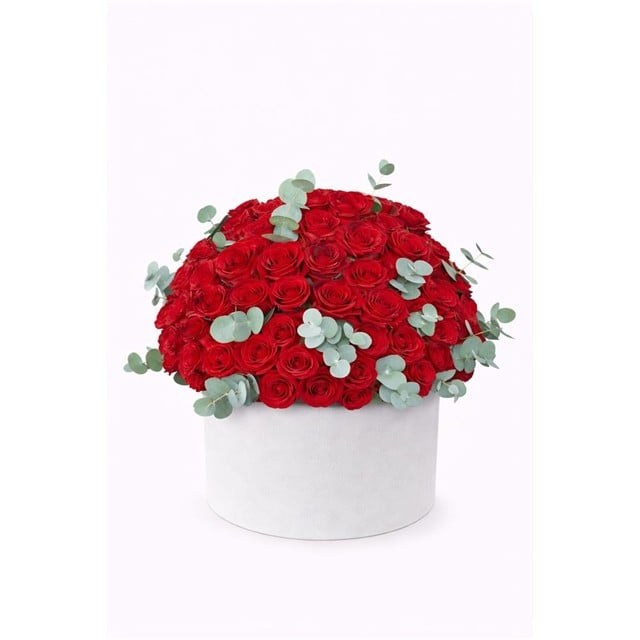 Aşkın En Saf Hali – Kırmızı Gül Kutusu