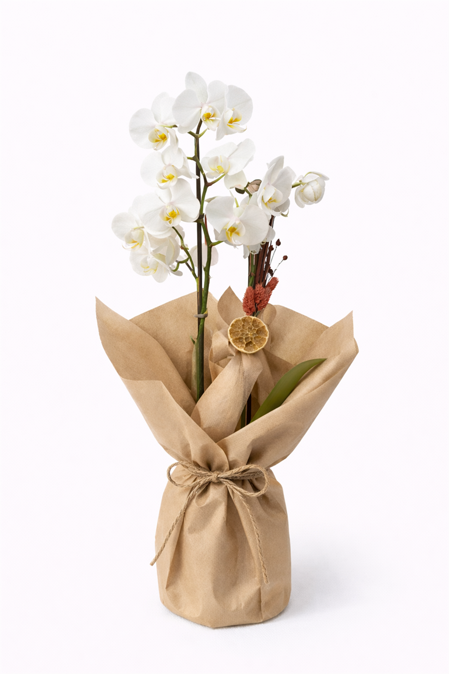 Minimal Şıklık – Beyaz Orkide