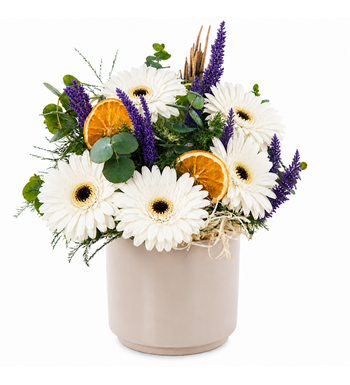 beyaz gerbera, gerbera aranjmanı, beyaz çiçek siparişi