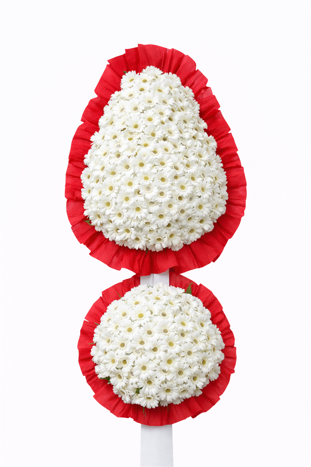 Çift Göbek Beyaz Gerbera Açılış Çelengi