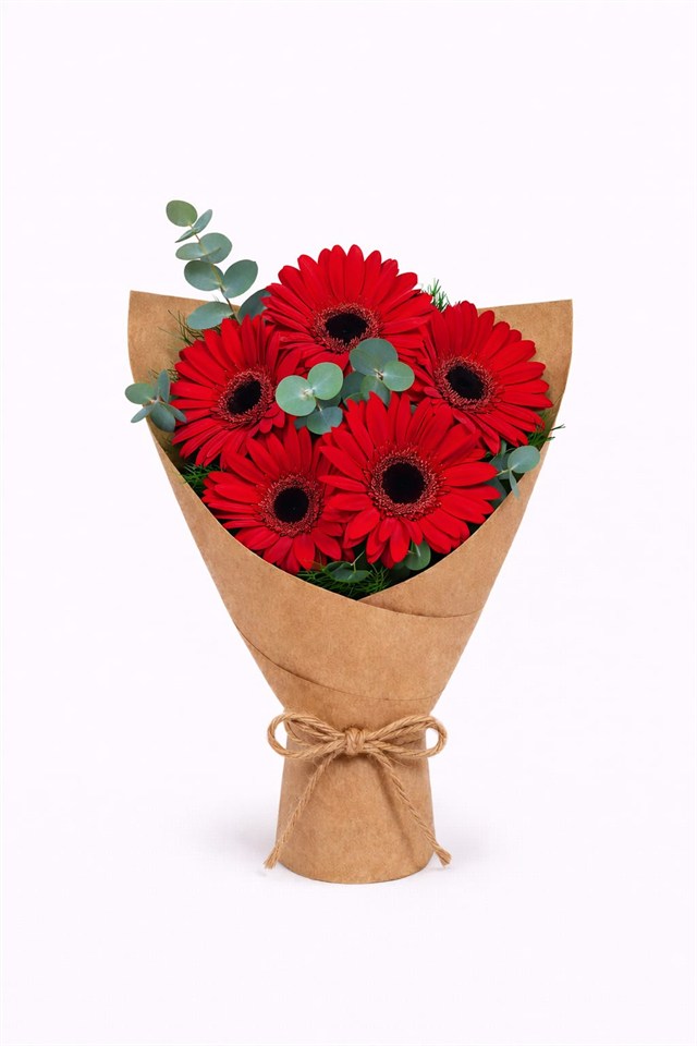 Doğal Kraftta 5li Kırmızı Gerbera