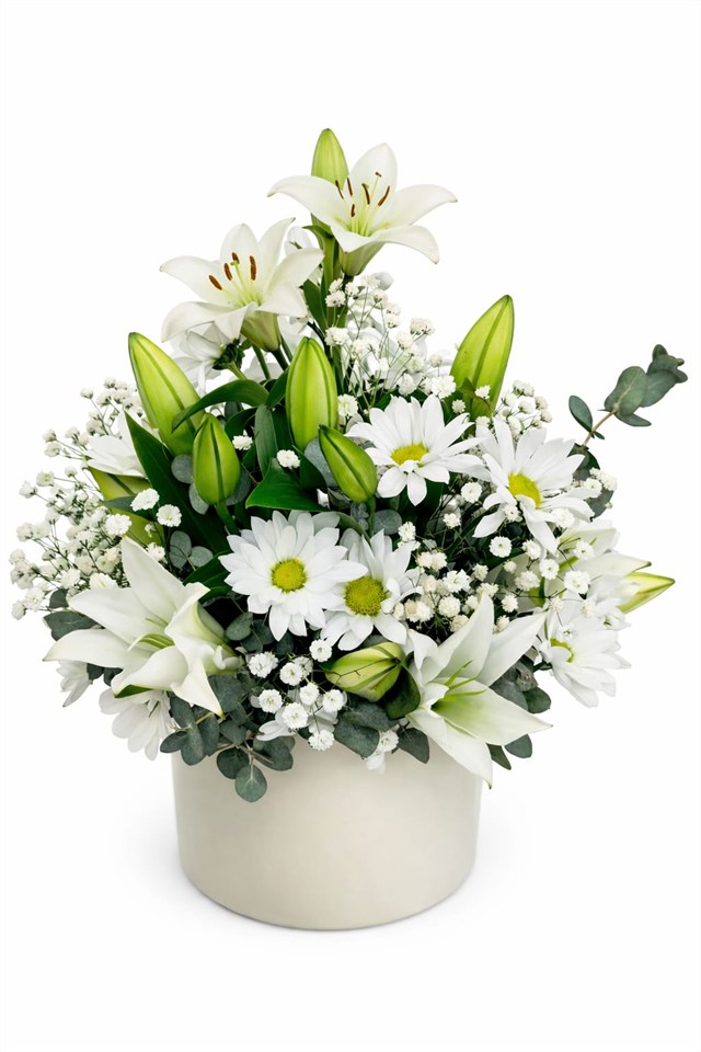 Elegant White – Lilyum & Papatya Armonisi