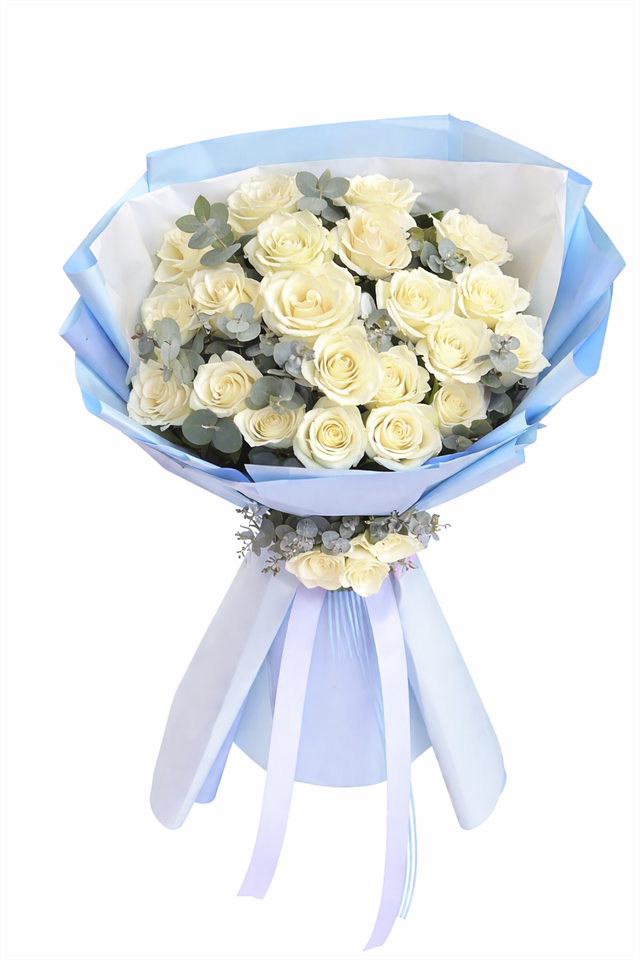 Florenta Premium Beyaz Güller