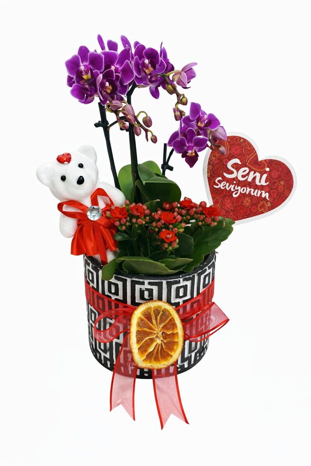 Kalpli Ayıcık & Mor Orkide Aranjmanı