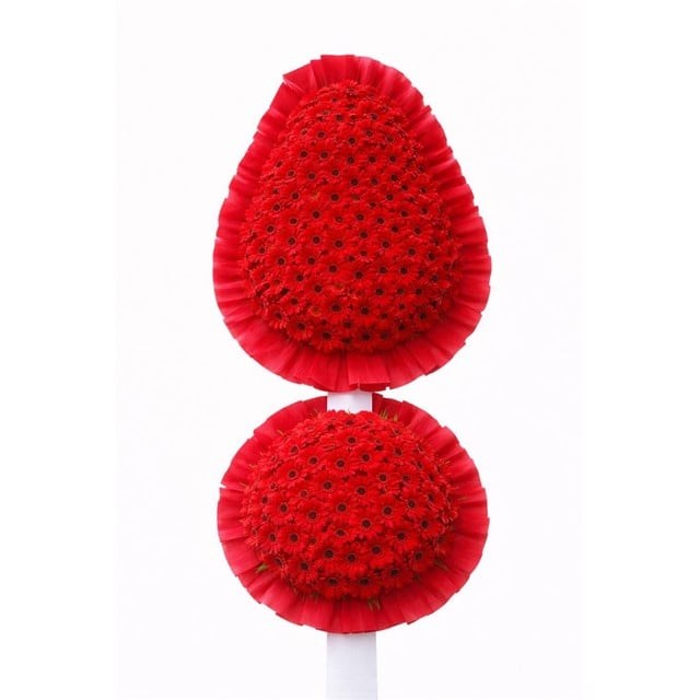 Çiftli Kurumsal Açılış Çelengi – Kırmızı Gerbera