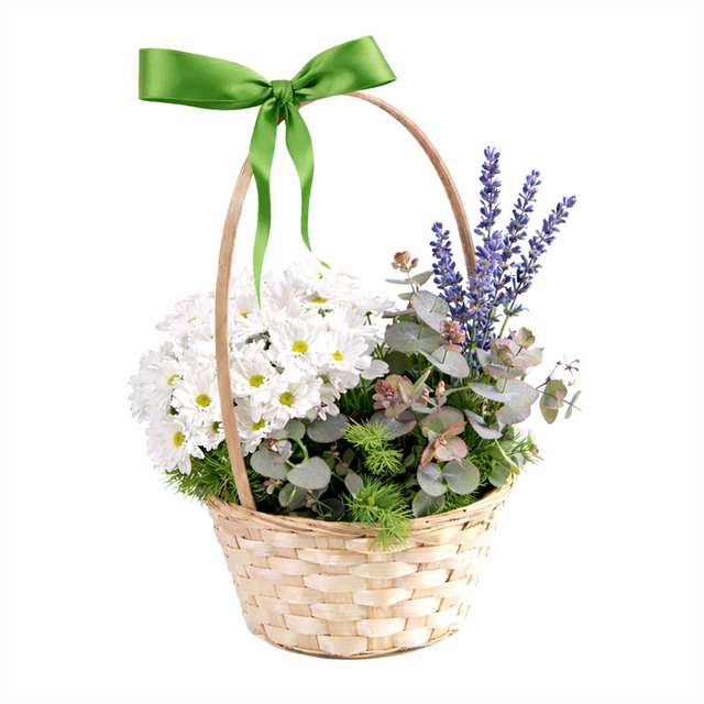 Lavender & Daisy Harmony