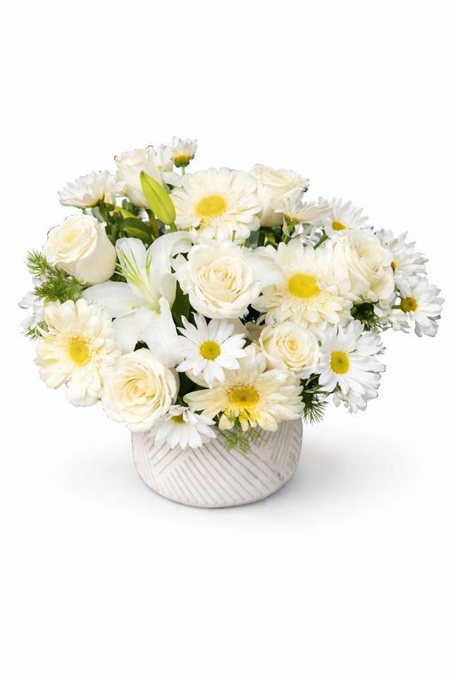 Masumiyetin En Güzel Hali – Beyaz Çiçek Aranjmanı