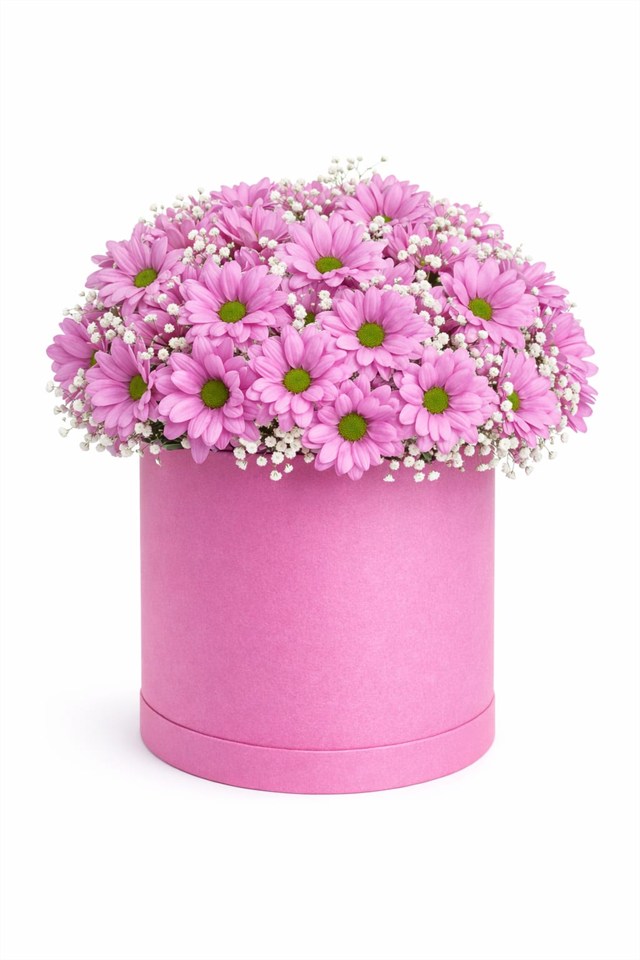 Masumiyetin Rengi – Pembe Papatya Aranjmanı