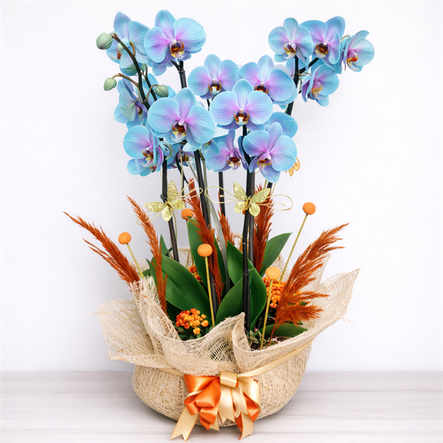 Mavi Düş – Portakallı & Doğal Detaylı Premium Orkide Aranjmanı