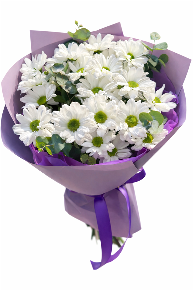 Mor Ambalajlı Beyaz Papatya Buketi