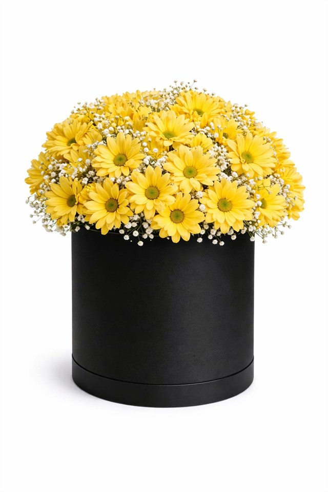 Mutluluğun Rengi – Sarı Papatya Flower Box