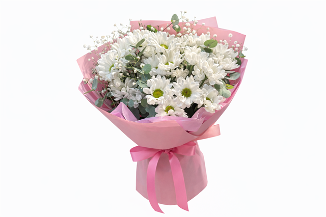 Pembe Şıklık Papatya Buketi