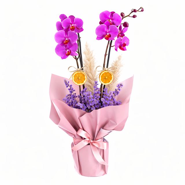 Premium Wrapped Orchid Gift