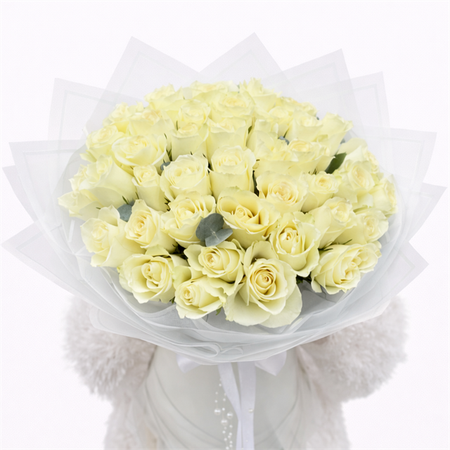 Pure White Roses – Premium Buket