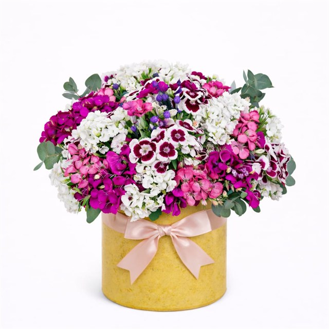 Renk Bahçesi – Hüsnüyusuf  Aranjmanı