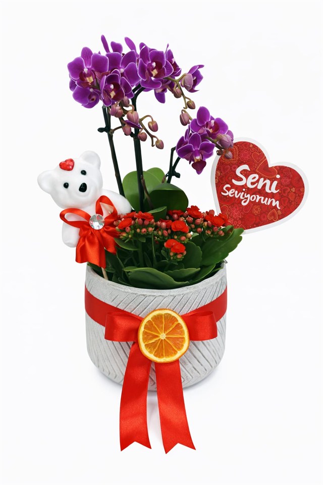 Seni Seviyorum Orkide Bahçesi