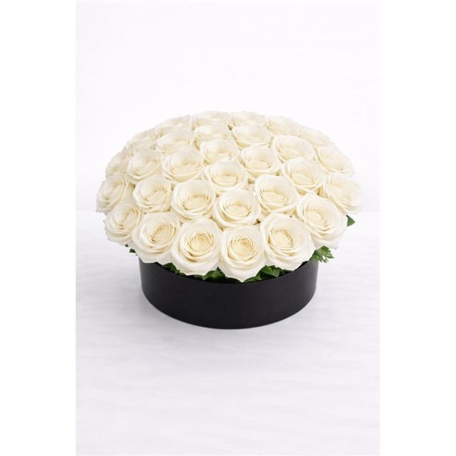 Pure White – Lüks Beyaz Güller